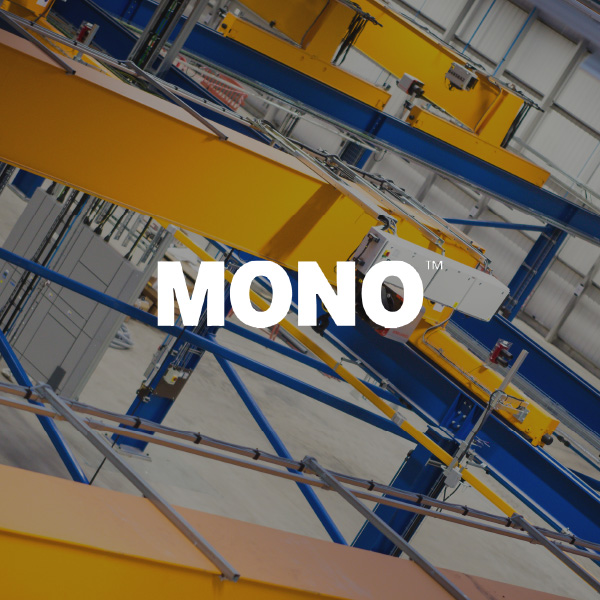 Mono outbreak 2021 picture